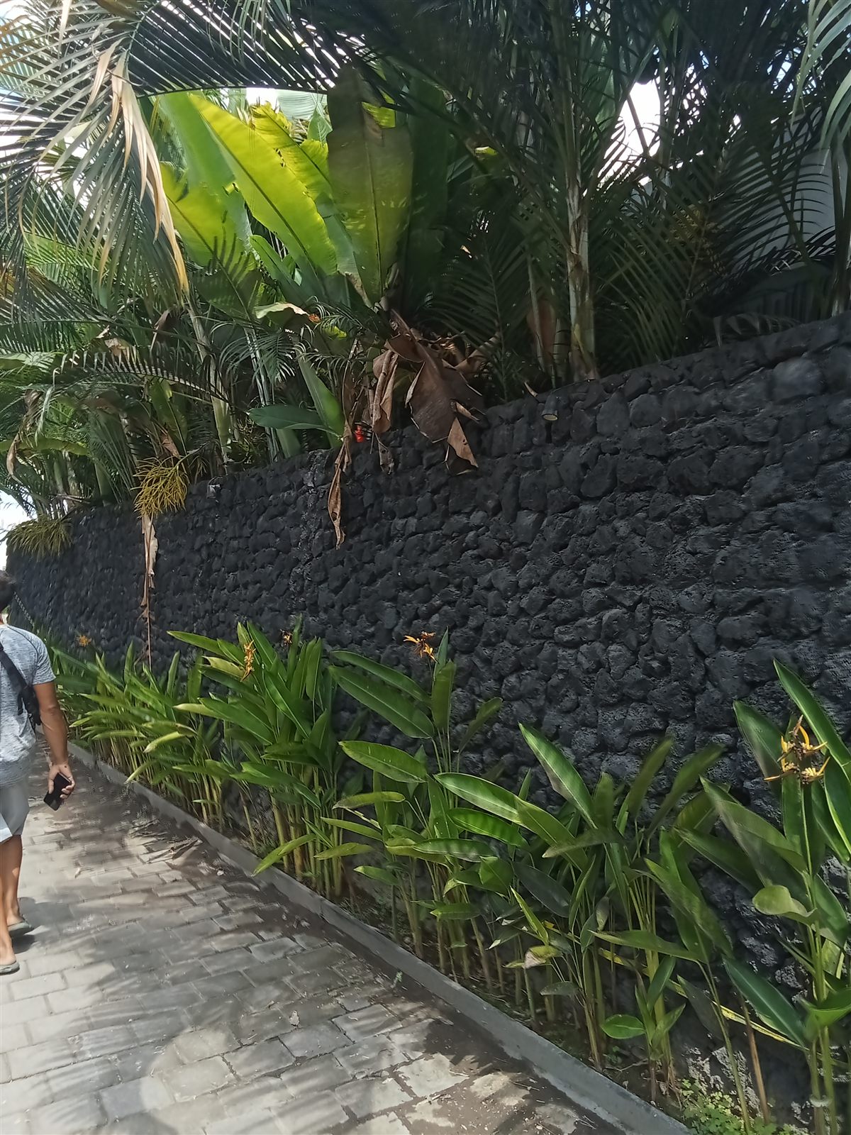 Hardscape